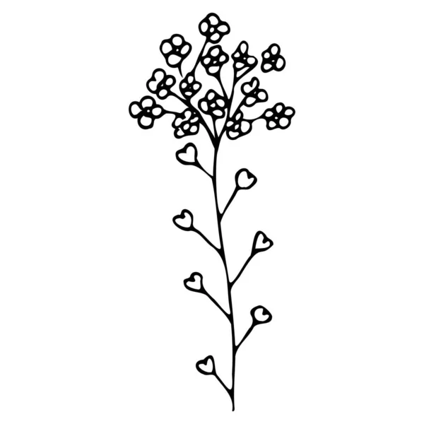 Vektor-Illustration einer Blume im Doodle-Stil — Stockvektor