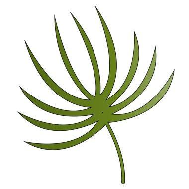 Yeşil yaprağın vektör çizimi. Tropik yeşil yaprak.