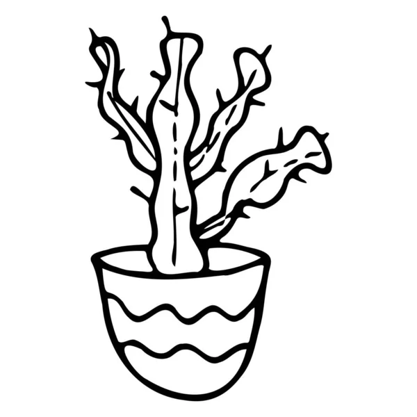 Illustration vectorielle d'un cactus dans un pot. — Image vectorielle