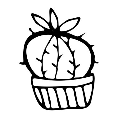 Tenceredeki kaktüsün vektör çizimi. 