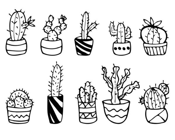 Kaktüs ikonları yerleştirildi. Doodle tarzı.
