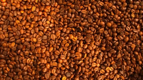 Смажені кавові зерна падають у стопку повільного руху — стокове відео