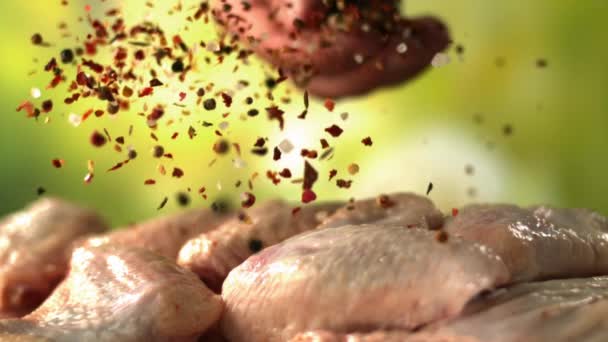 Sprinkling Skrzydełka Kurczaka Przyprawami Papryką Przygotowanie Gotowania Hot Food Shot — Wideo stockowe