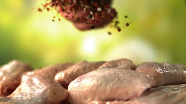 Aprinderea Aripilor Pui Condimente Ardei Pregătirea Pentru Găti Alimente Calde — Videoclip de stoc