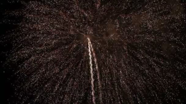 Fuochi d'artificio con suono — Video Stock