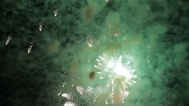 Grandi fuochi d'artificio con suono — Video Stock