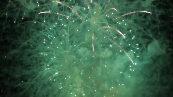 Kembang api yang mengagumkan dengan suara — Stok Video