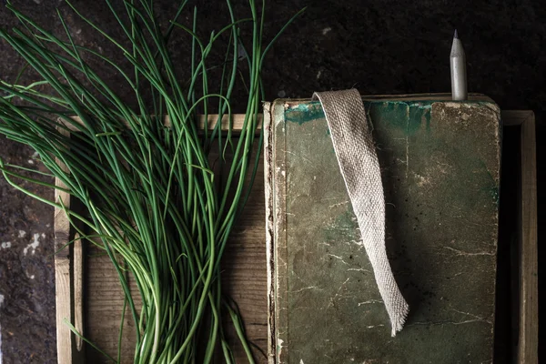 Grön lök stjälkar och boken i en trälåda — Stockfoto