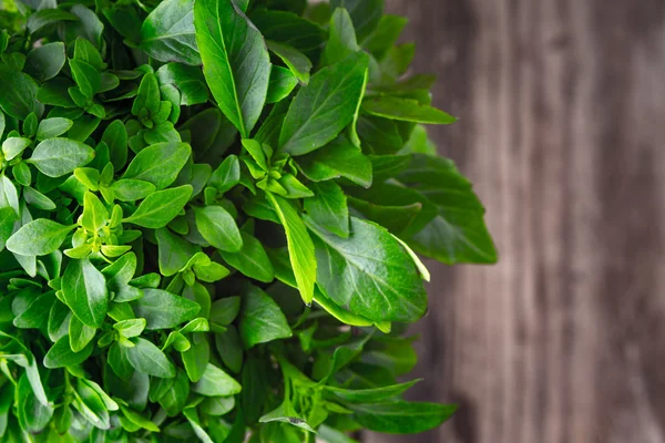 Basil leaves on a wooden background blurred — Stock Photo, Image