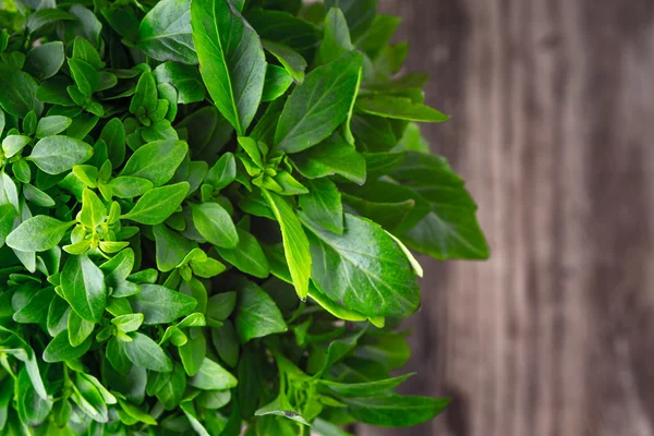 Hojas de albahaca sobre un fondo de madera borroso — Foto de Stock