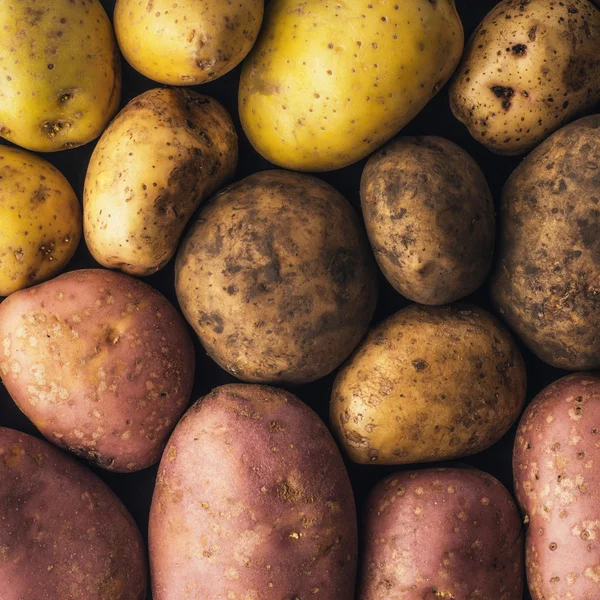 Rå potatis bakgrund square — Stockfoto