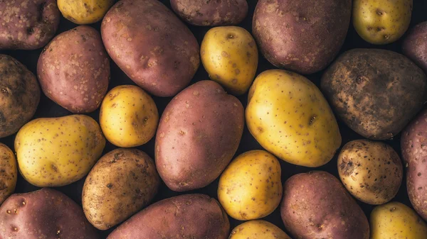 Rå potatis bakgrund horisontella — Stockfoto