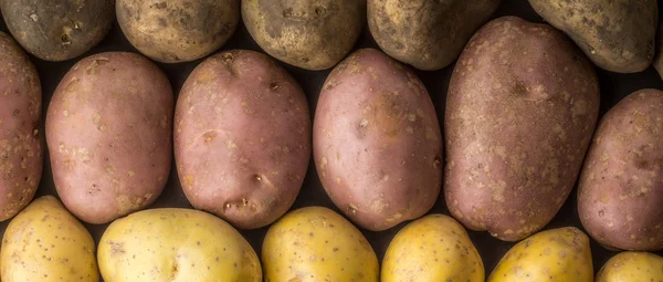 Rohe Kartoffeln mischen Hintergrund Breitbild — Stockfoto