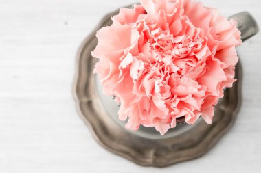 Beyaz tahtalar üzerinde bir çiçek ile sürahi