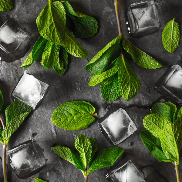 Fresh mint with ice cube on the stone table square — Stock Photo, Image