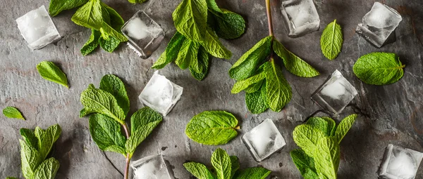 Menta fresca con cubo de hielo en la mesa de piedra pantalla ancha —  Fotos de Stock