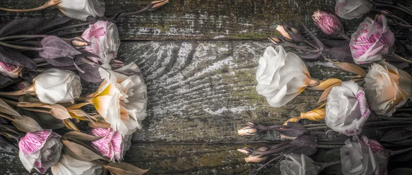 Lindas flores no fundo de madeira velho tela larga — Fotografia de Stock