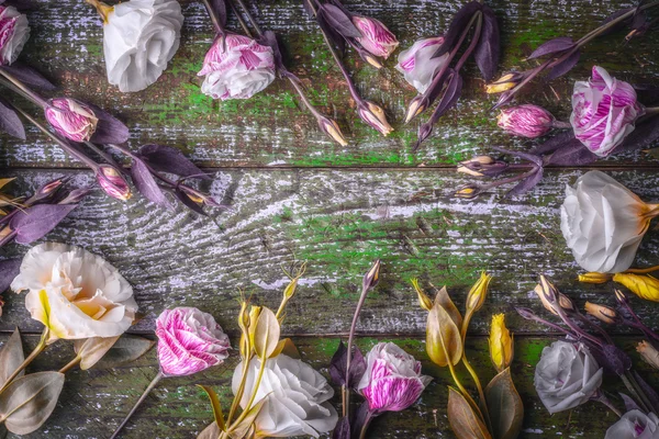 Quadro de flores no velho fundo de madeira — Fotografia de Stock