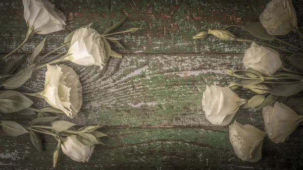 Flores brancas no fundo de madeira velha vista superior — Fotografia de Stock