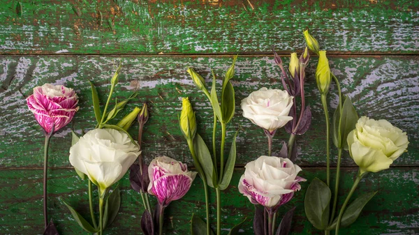Lindas flores no fundo de madeira colorido — Fotografia de Stock