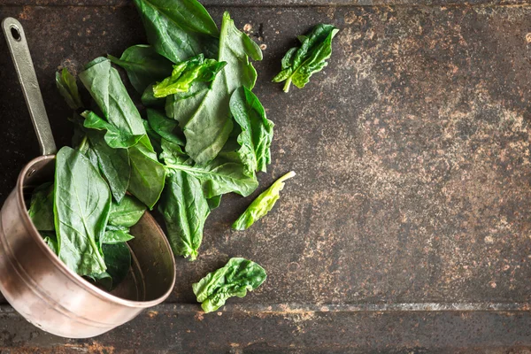 Spinach in the copper pt on the metal background top view — Stock Photo, Image