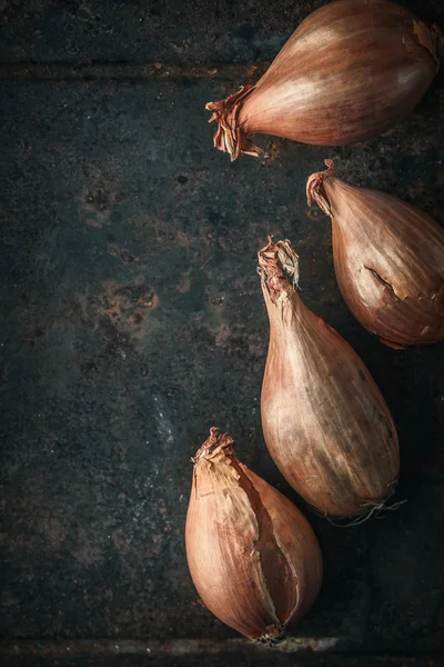 Shallots  on the  old metal background  vertical — Stock Photo, Image