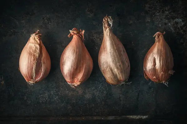 Arpacık eski metal arka planında yatay