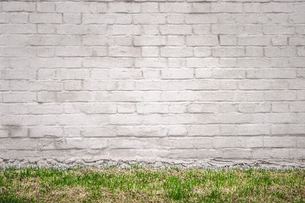 White brick wall with grass — Stock Photo, Image