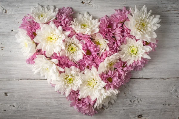 Heart made of flowers on the white scratched background top view — Stock Photo, Image