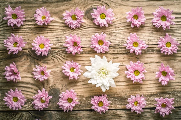 Composição de flores cor-de-rosa e brancas na vista superior da mesa de madeira — Fotografia de Stock