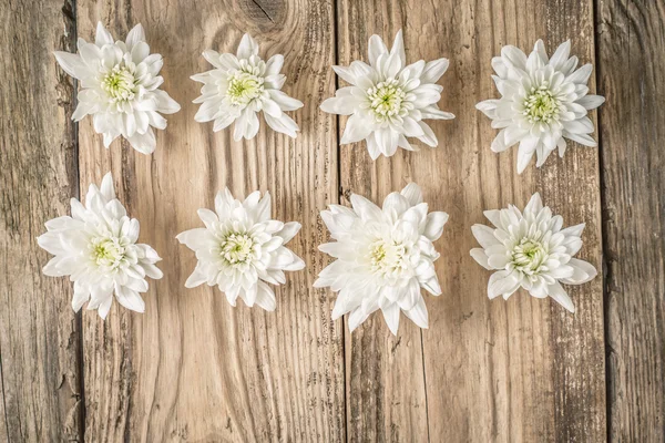 Összetétele, a fehér virágok a fából készült háttér — Stock Fotó