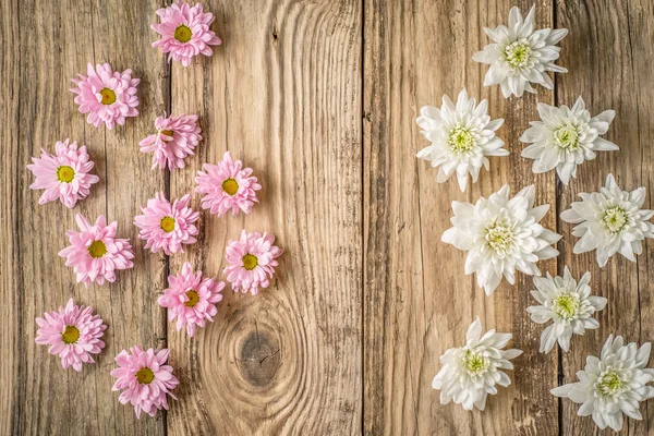 Flores brancas e rosa no fundo de madeira — Fotografia de Stock
