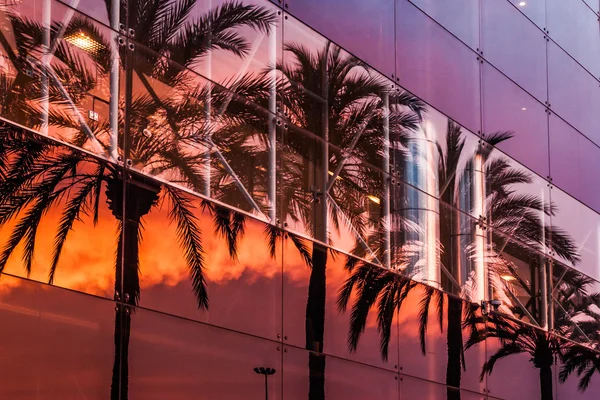 Palmiye ağaçları ve günbatımı gökyüzü modern binada yansıyan — Stok fotoğraf