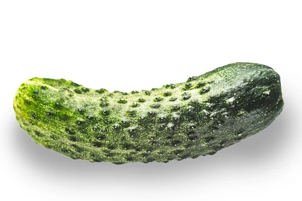 Pepino no fundo branco — Fotografia de Stock