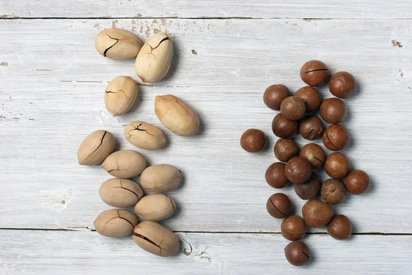 Pecan og macadamia nødder håndfulde på den hvide baggrund - Stock-foto