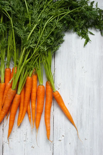 Zanahorias en el fondo blanco — Foto de Stock