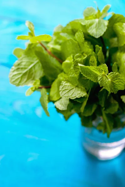 Mint gäng i en glasburk på cyan bakgrunden — Stockfoto