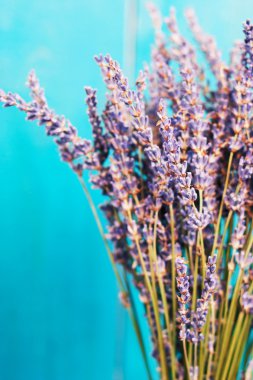 Lavanta natürmort mavi zemin üzerine