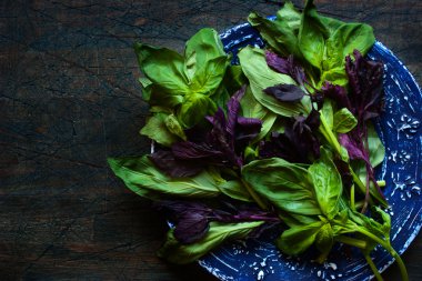 Yeşil ve kırmızı fesleğen koyu zemin üzerine mavi plaka üzerinde