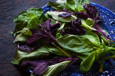 Yeşil ve kırmızı fesleğen koyu zemin üzerine mavi plaka üzerinde