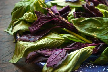 Yeşil ve kırmızı fesleğen koyu zemin üzerine mavi plaka üzerinde