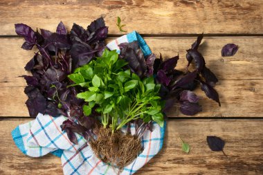 Ahşap masa üzerinde yeşil ve kırmızı fesleğen