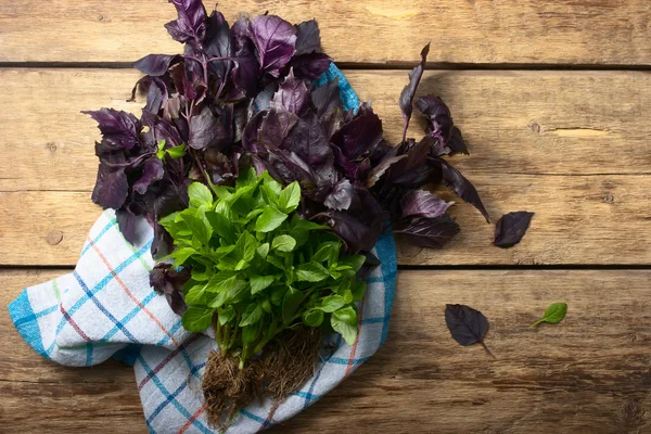 Green and red basil on the wooden table — Stock Photo, Image