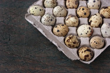 Bıldırcın yumurtası içinde gri masaya Ambalaj karton