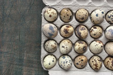 Bıldırcın yumurtası içinde gri masaya Ambalaj karton