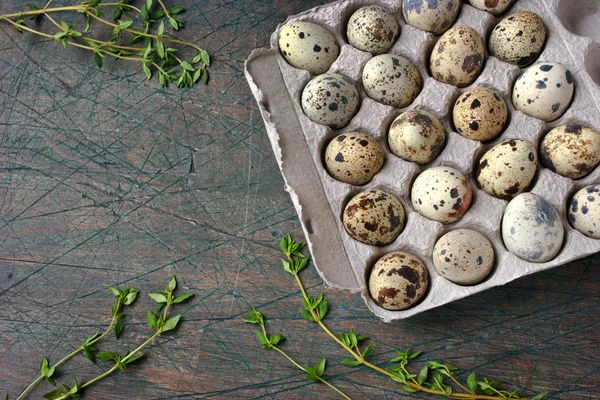 Quail eggs in the cardboard packing on the grey table — Stock Photo, Image