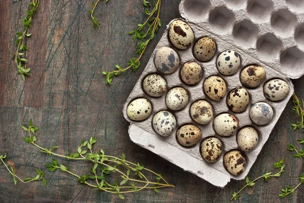 Huevos de codorniz en el embalaje de cartón en la mesa gris — Foto de Stock