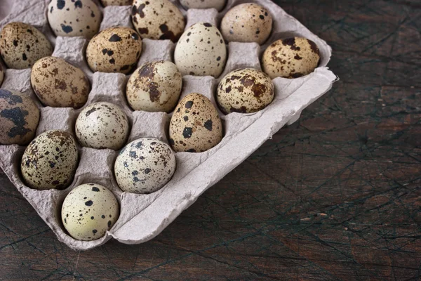 Huevos de codorniz en el embalaje de cartón en la mesa gris — Foto de Stock