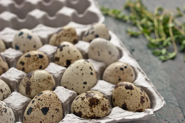 Huevos de codorniz en el embalaje de cartón en la mesa gris — Foto de Stock