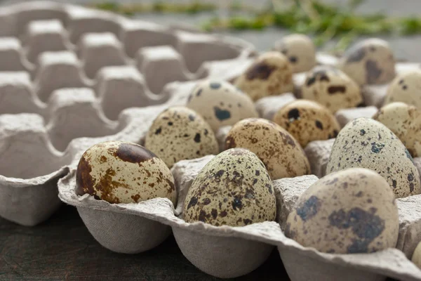 Huevos de codorniz en el embalaje de cartón en la mesa gris — Foto de Stock